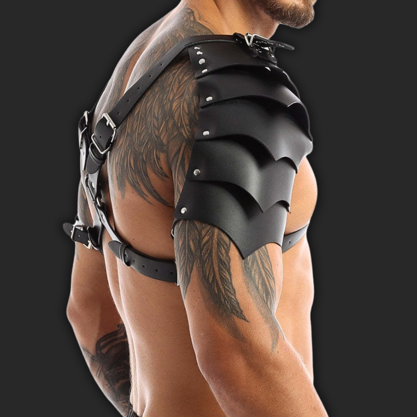 HARNAIS RAVER 2 EPAULES