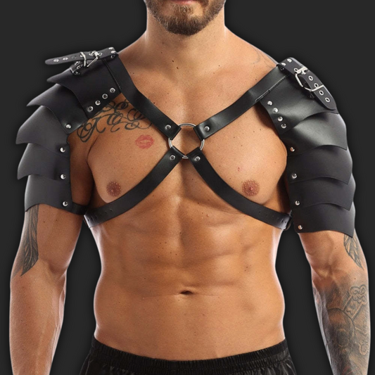 HARNAIS RAVER 2 EPAULES