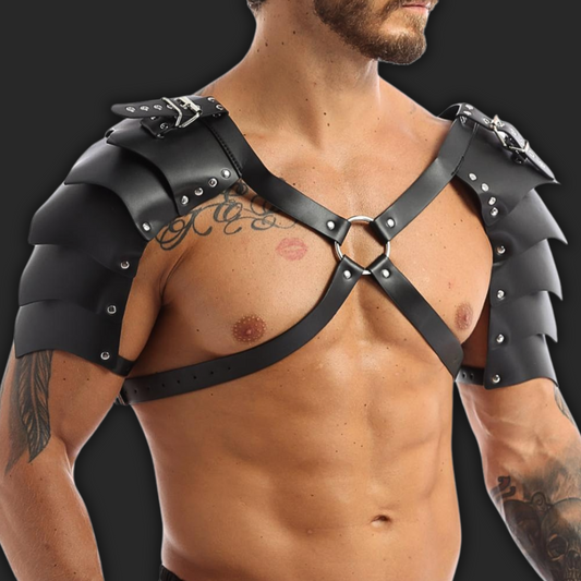 HARNAIS RAVER 2 EPAULES