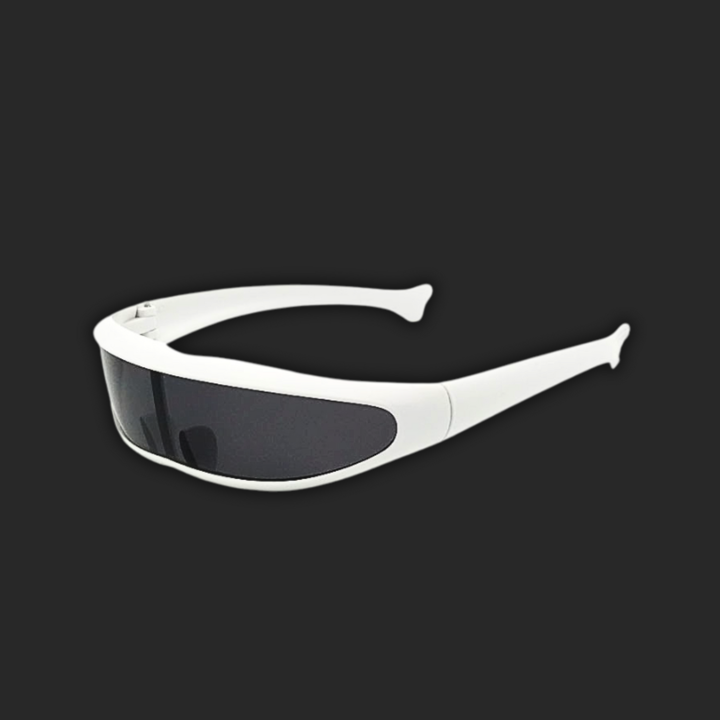 LUNETTES DOLPHIN